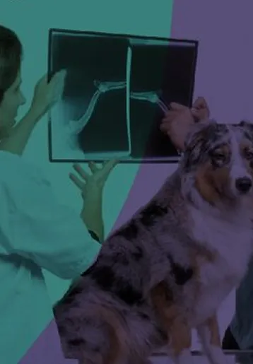 Animaníacos Veterinária