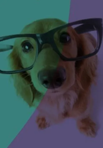 Animaníacos Veterinária