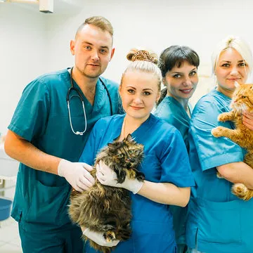 Clínica veterinária com cirurgia