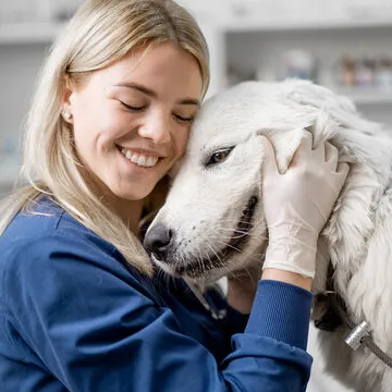 Veterinária especialista em pele de cachorro