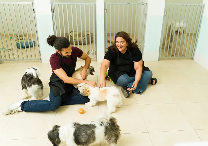 Animaníacos Veterinária Animaníacos Veterinária